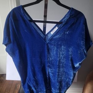 DKNY Infinity Blue Velvet Top